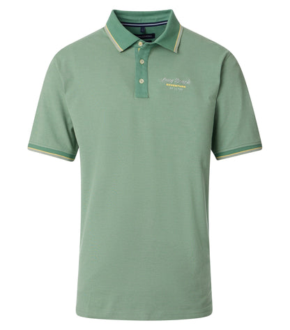 Polo grUEn Bild 1