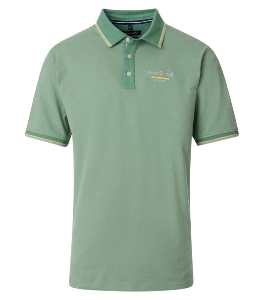 Polo grUEn Bild 1