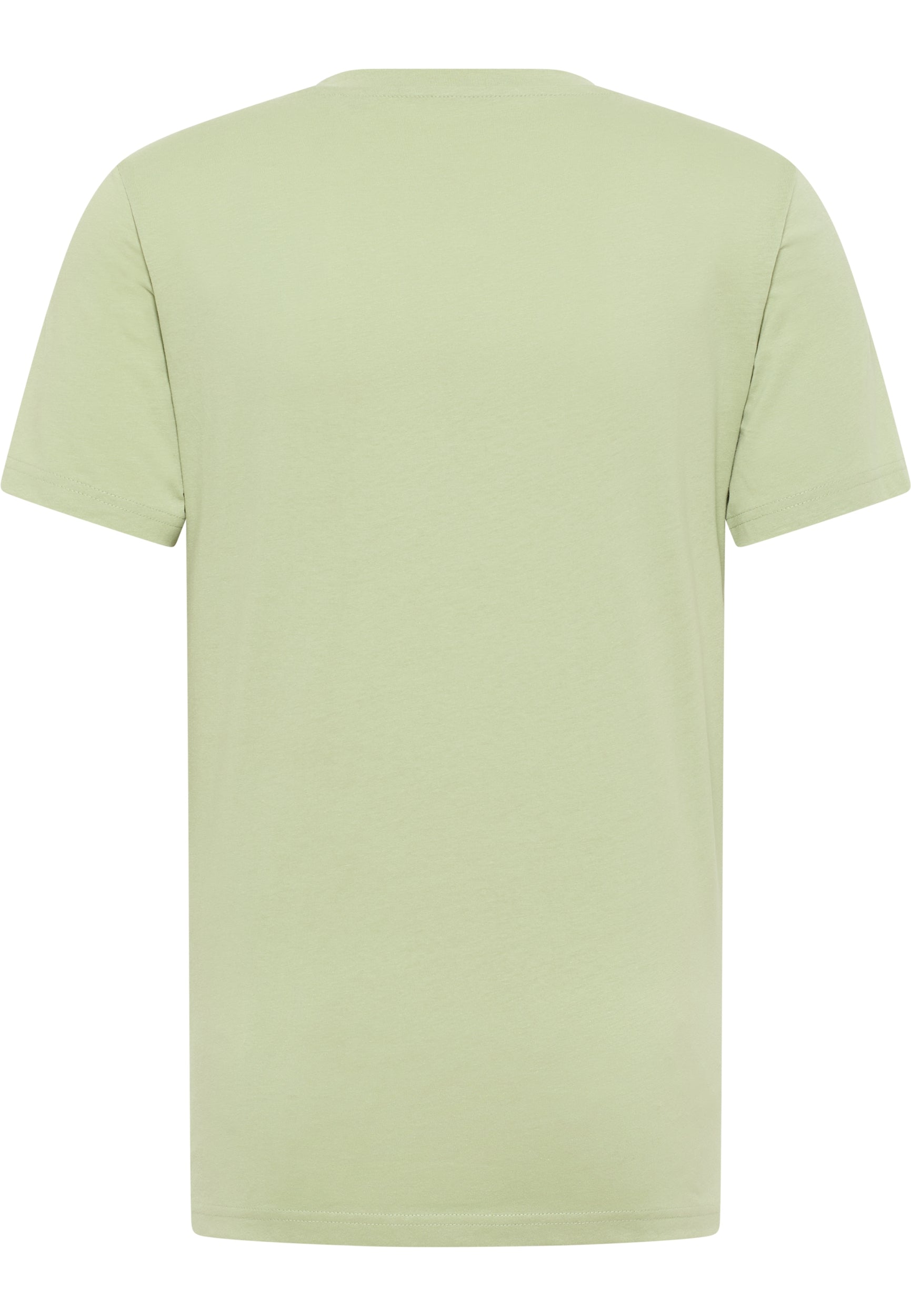 STYLE AUSTIN SWAMP Bild 2